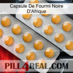 Africa Black Ant Capsule levitra2